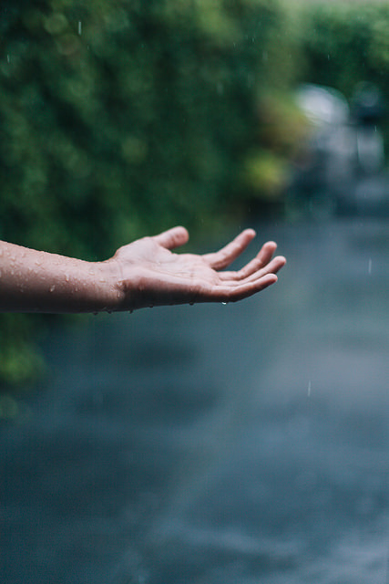 Likes | Tumblr #inspiration