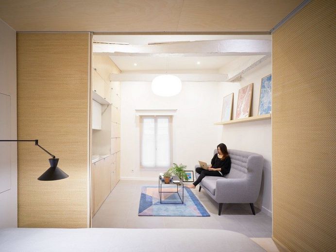 Urban Cocoon: Complete Renovation of a 27 sqm Single Room Duplex in Paris