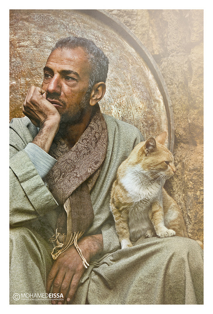 Man & Cat #eissa #cairo #el #egypt #khan #mohamed #photography #khalili
