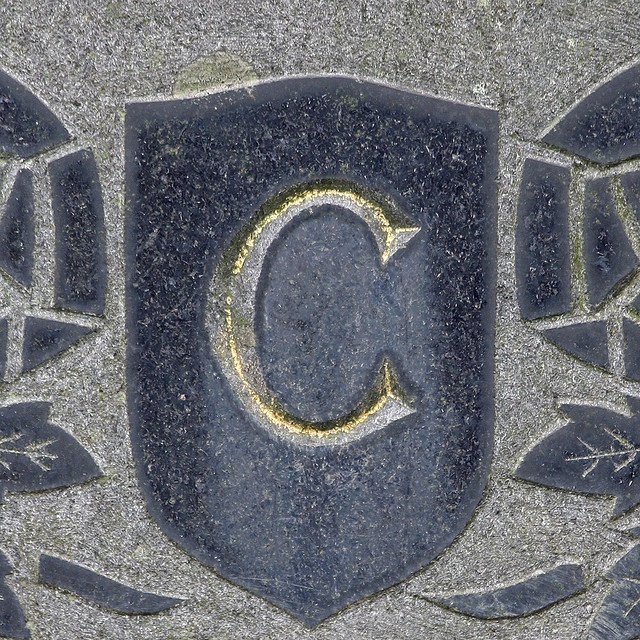 letter C #font #letter #c #typography