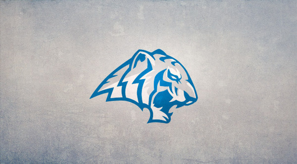 Brand new "Tigres de garges" roller hockey team #roller #branding #team #port #tigers #tigres #logo #hockey