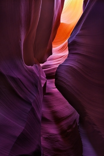 500px / Photo #brandt #photo #color #symphony #campbell #photography #purple #desert