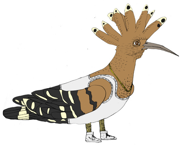 the birds #illustration #animal #bird