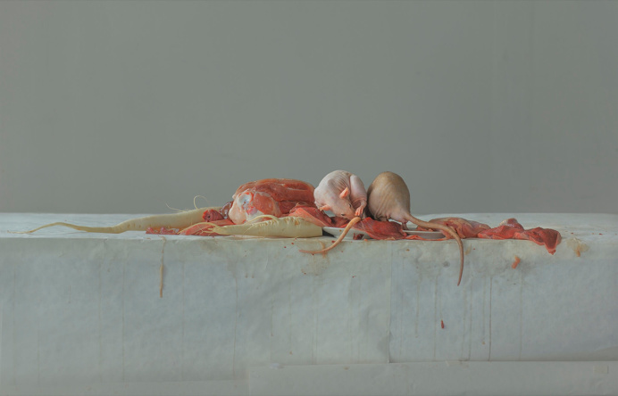 Evelyn Bencicova / (an)organic