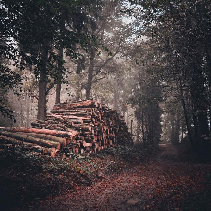 Ronald Jansen Captures the Beauty of Netherlands Through Stunning Landscapes