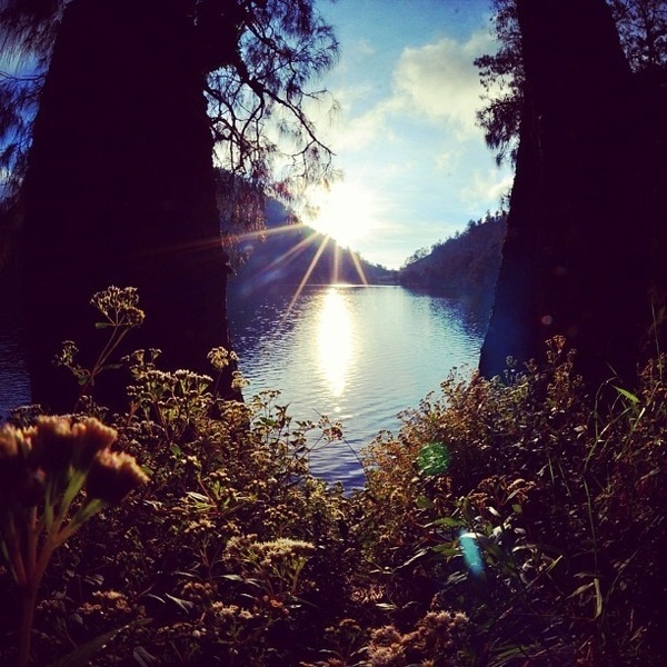 Photographer DarisZ Cahyadi #inspiration #photography #iphoneography