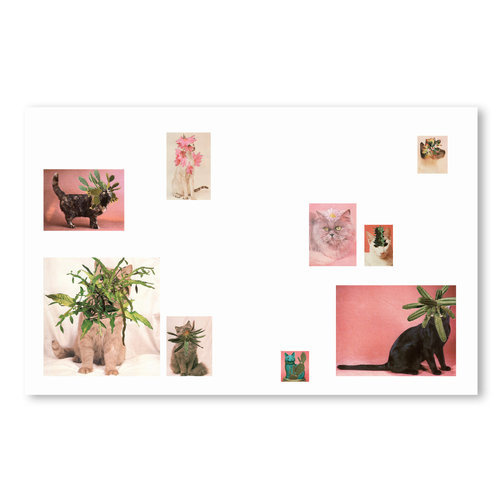 pink.jpg