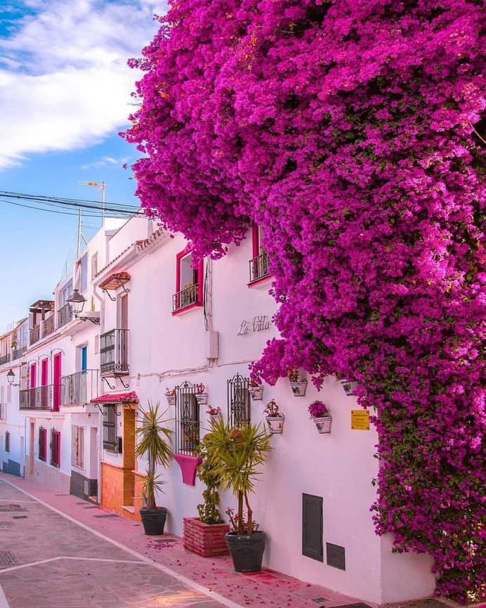 Creative and Colorful Street Photography by Miguel Ángel