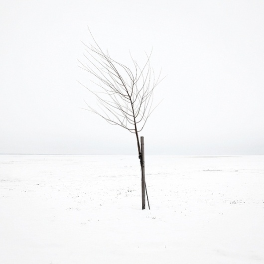 White #photo #white #minimal