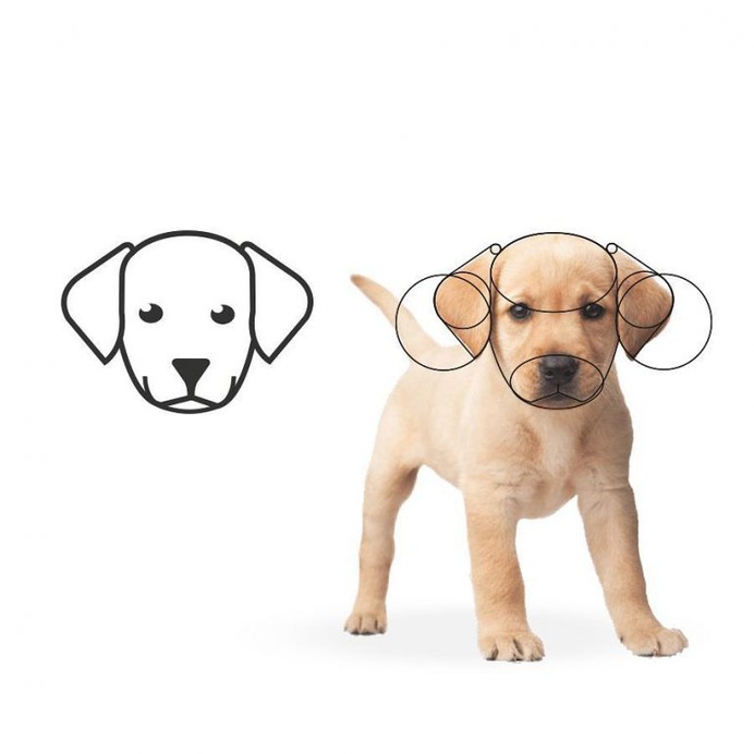 Grid for a Puppy Head 🐶