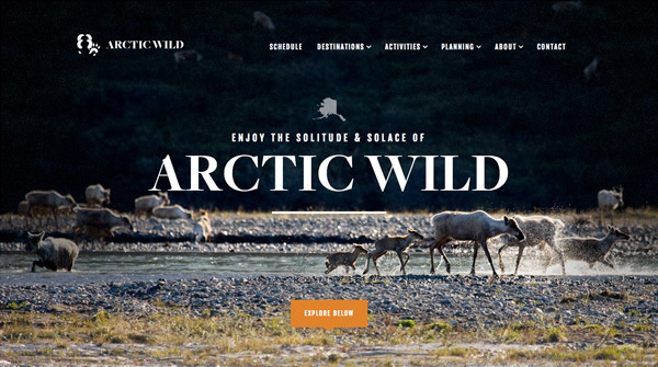 Arctic Wild