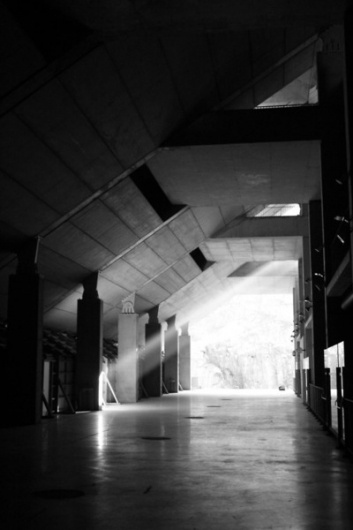 link to my head #white #photograpy #black #and #porto