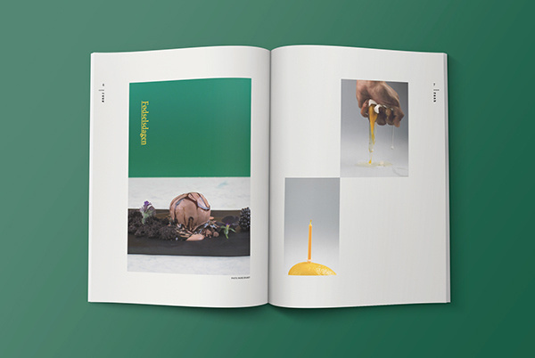 The Birthday on Behance #photos #food #spreads #ice #magazine