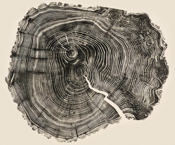 woodcut prints by bryan nash gill #woodcut #bryan #prints #nash