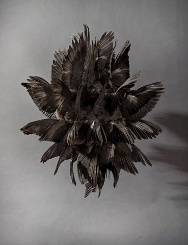 FFFFOUND! | Beggar's Bash #abstract