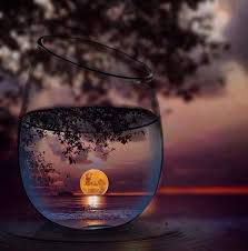 Image result for cool photography