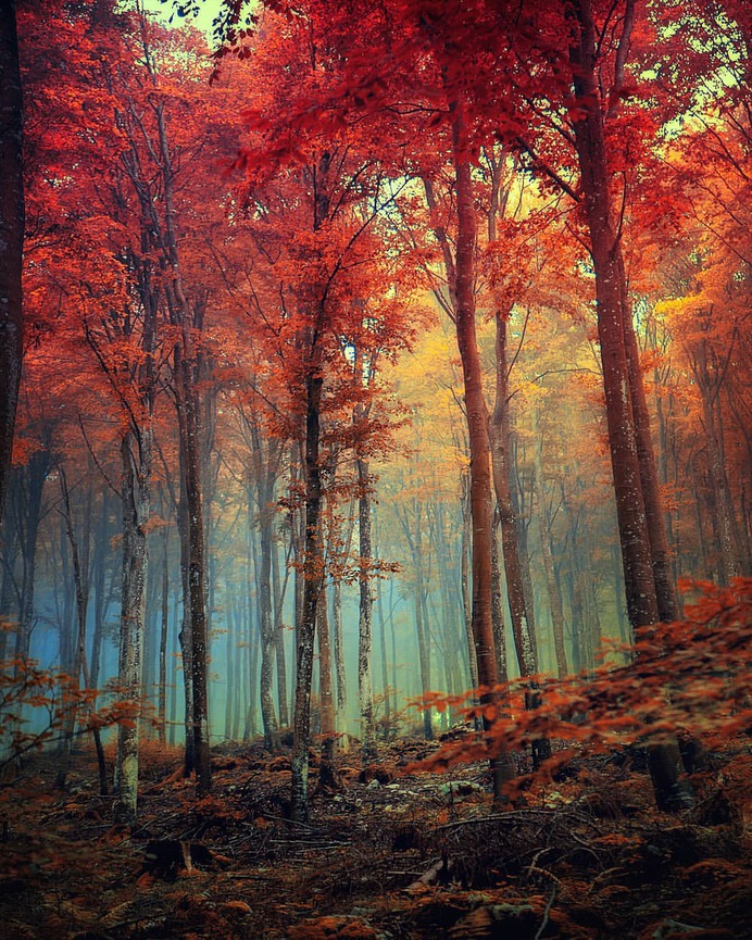 Magical Landscape and Nature Photography by Jan Poloni