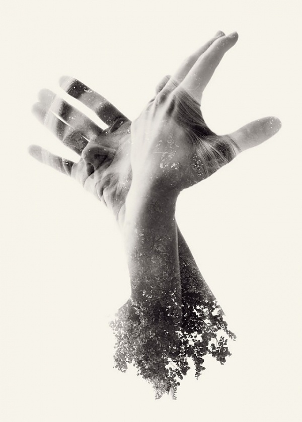 Colossal | An art and design blog. | Page 3 #photography #hands