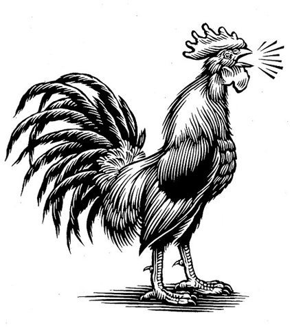All sizes | RoosterCrowing | Flickr - Photo Sharing! #rooster #illustration #black and white #linocut #woodcut