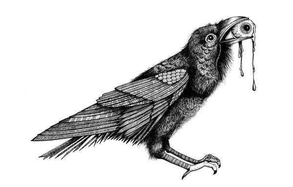 Abbotsford Ravens #ink #white #black #bird #eye #illustration #pen #and #raven