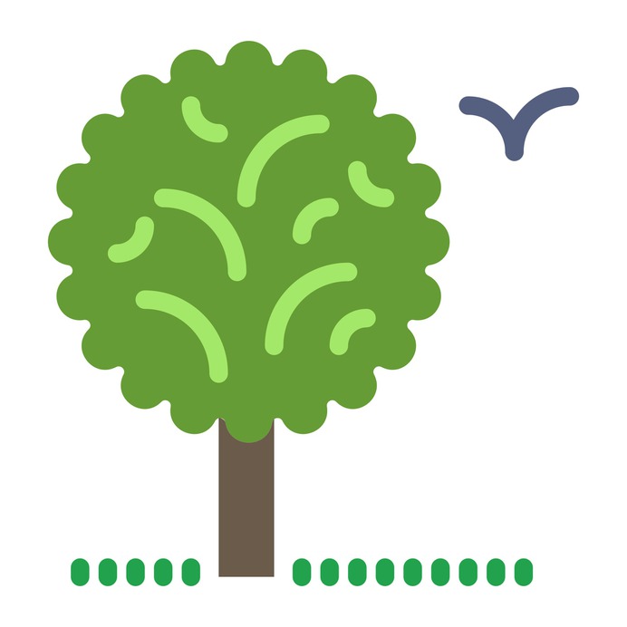 See more icon inspiration related to tree, garden, nature and botanical on Flaticon.
