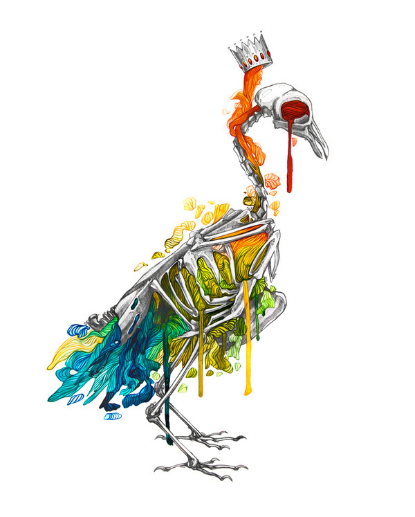 soulbird #basotta #bassota