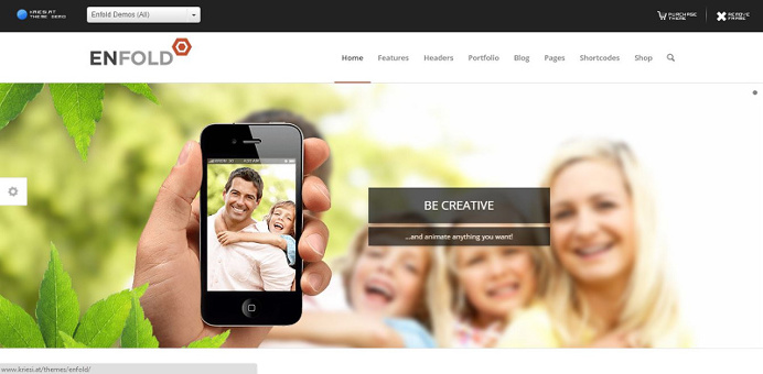 Enfold Responsive Multipurpose theme for your folio site.