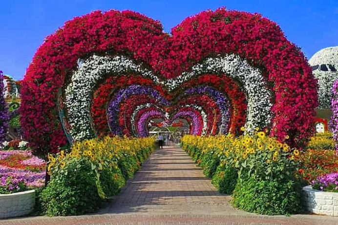 The Hearts Passage at the Dubai Miracle Garden is its most iconic and awesome floral theme. Its design, structure and appearance is nothing short of elegance and it is also one of the oldest floral themes of the garden since its inception in 2013.