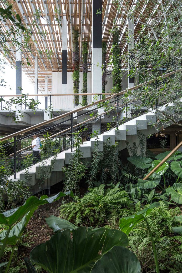Stairs Perez Art Museum Miami, Herzog & DeMeuron
