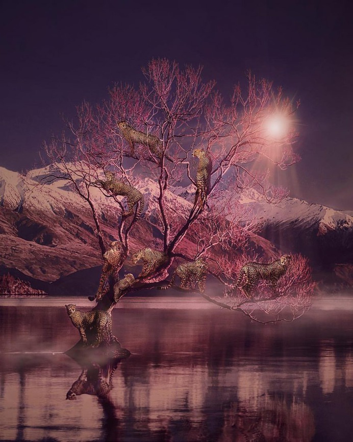 Surreal and Dreamlike Photo Manipulations by Andreas Häggkvist
