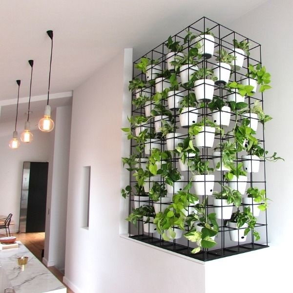 Indoor Vertical Garden