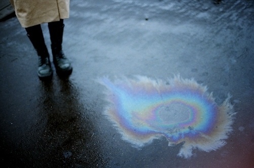 001.JPG (JPEG Image, 501x332 pixels) #meganmcisaac #photography #com #film