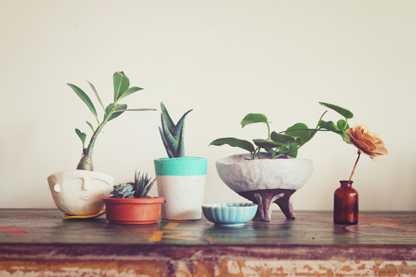 Eat Drink Chic #spots #ceramic #plants