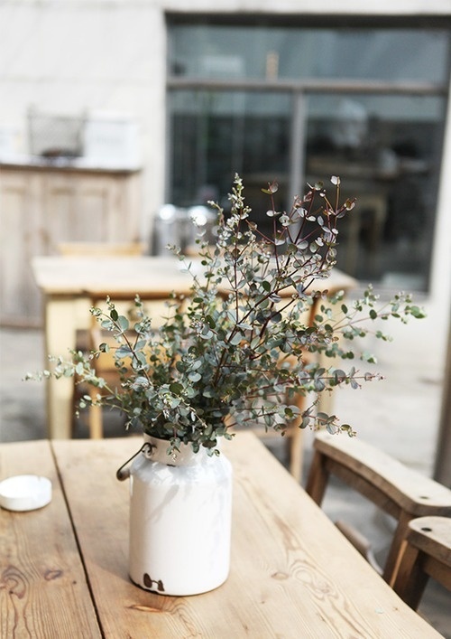 Likes | Tumblr #wood #plant