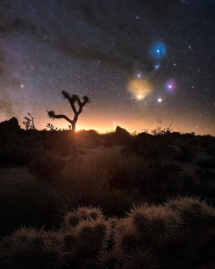 Incredible Milky Way and Astrophotography by Chris Terstegge