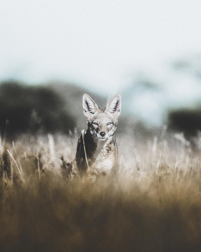 Incredible Adventure Photography by Donal James Boyd