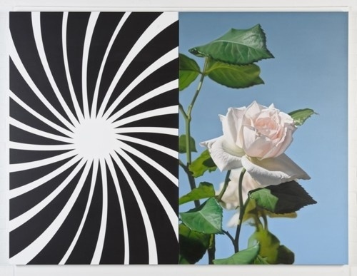 Chimes&Rhymes | innovative design and new techniques in visual artistry #sun #white #rose #lineart #black #and