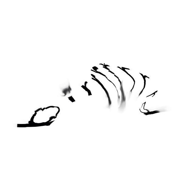 logo birrrrrrrd #logo #glitch / birrrrrrrd.tumblr.com