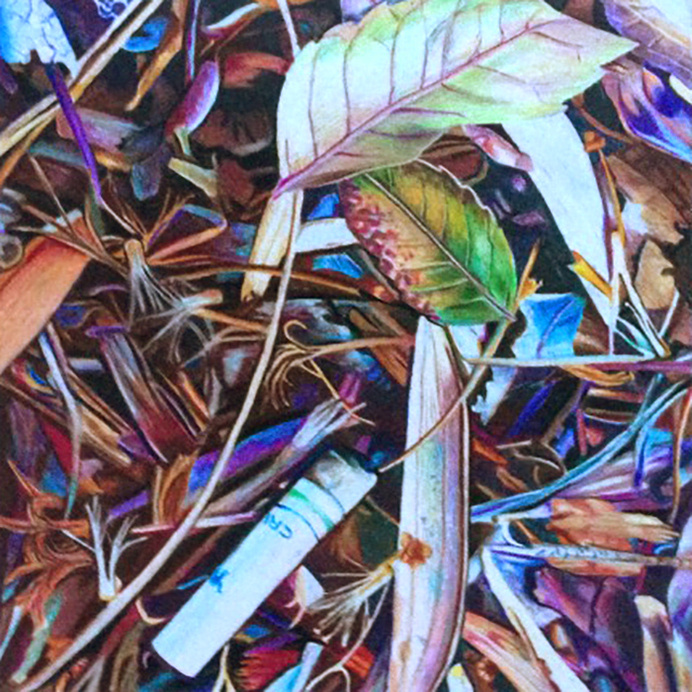 A Convenient Trashcan - Katie Melrose // colored pencils #litter #cigarette #colored #nature #colors #pencils