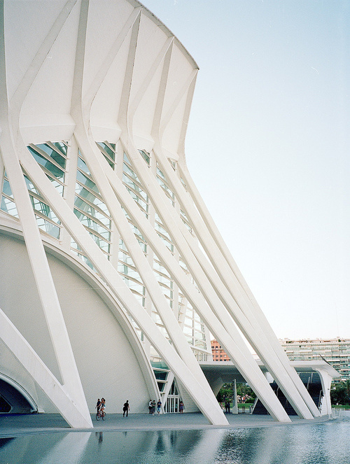 CJWHO ™ (Príncipe Felipe Science Museum / SANTIAGO...) #spain #valencia #design #photography #architecture