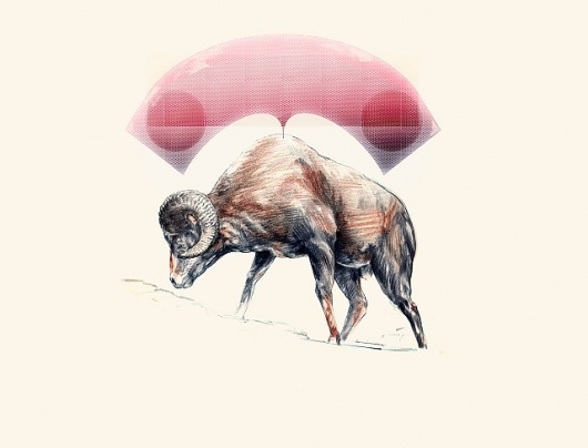 Carlos Ancalmo #illustration #vector #sketch #art