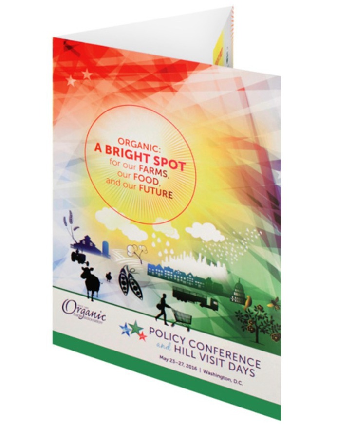 Colorful Presentation Folder Design