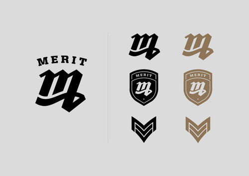 Merit Identity #modern #2013 #design #graphic #identity
