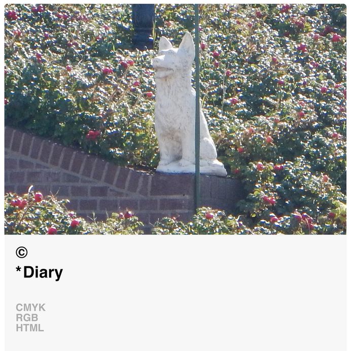 *Diary © [ catrin mackowski ]
