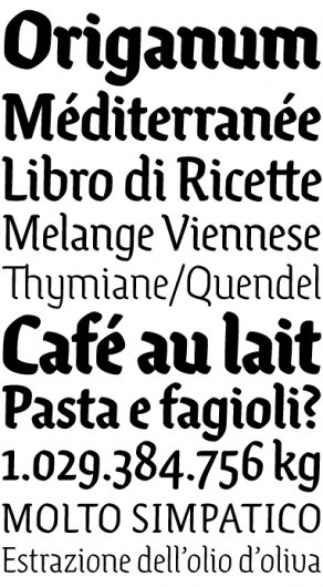 MartinPlusFonts #font #martinplus #fractions #kerning #figures #ligatures #type #ode