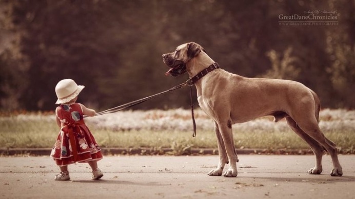 little kids and their big dogs