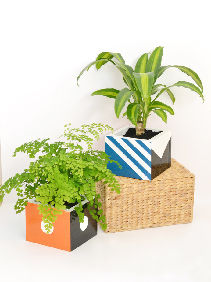 Box Designsponge