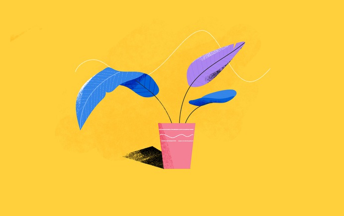 Behance :: Search