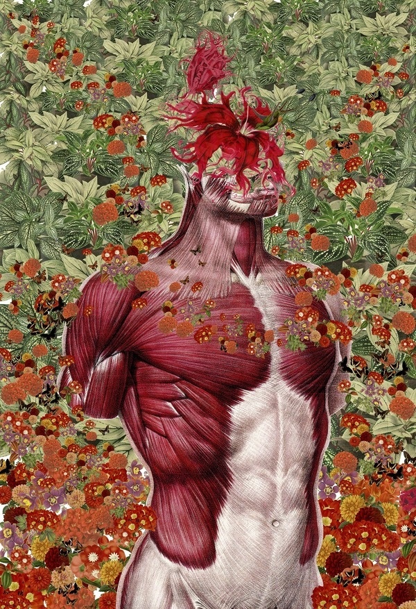 Anatomical Collages by Travis BedelMarch 14 #illustration #collage #anatomy #art