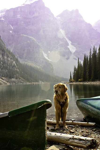 Image Spark wisdom justiceandlove #landscape